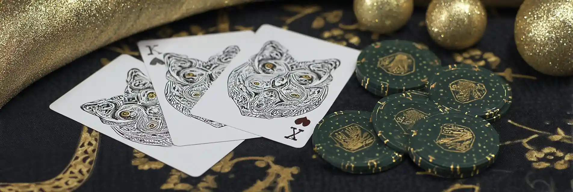 arne slot liverpool head coach biography